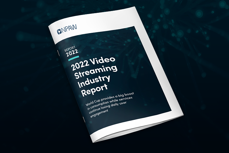 2022 Video Streaming Industry Report