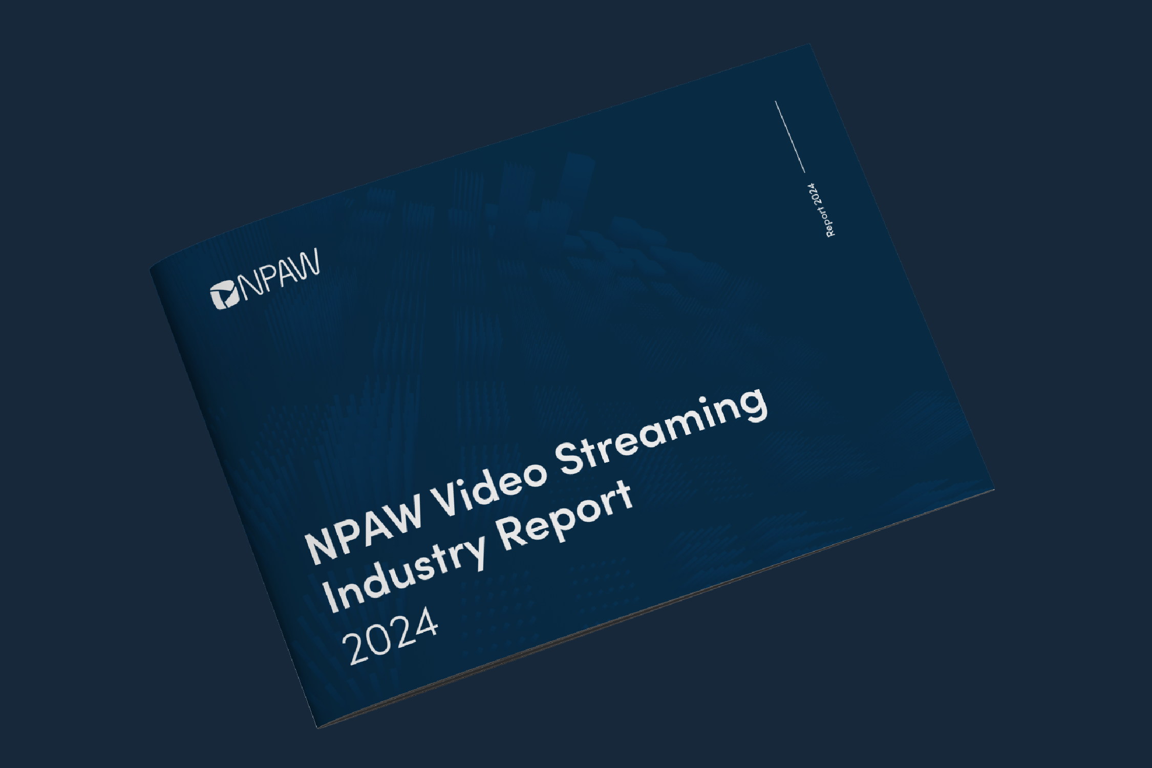 Video Streaming Industry report 2024