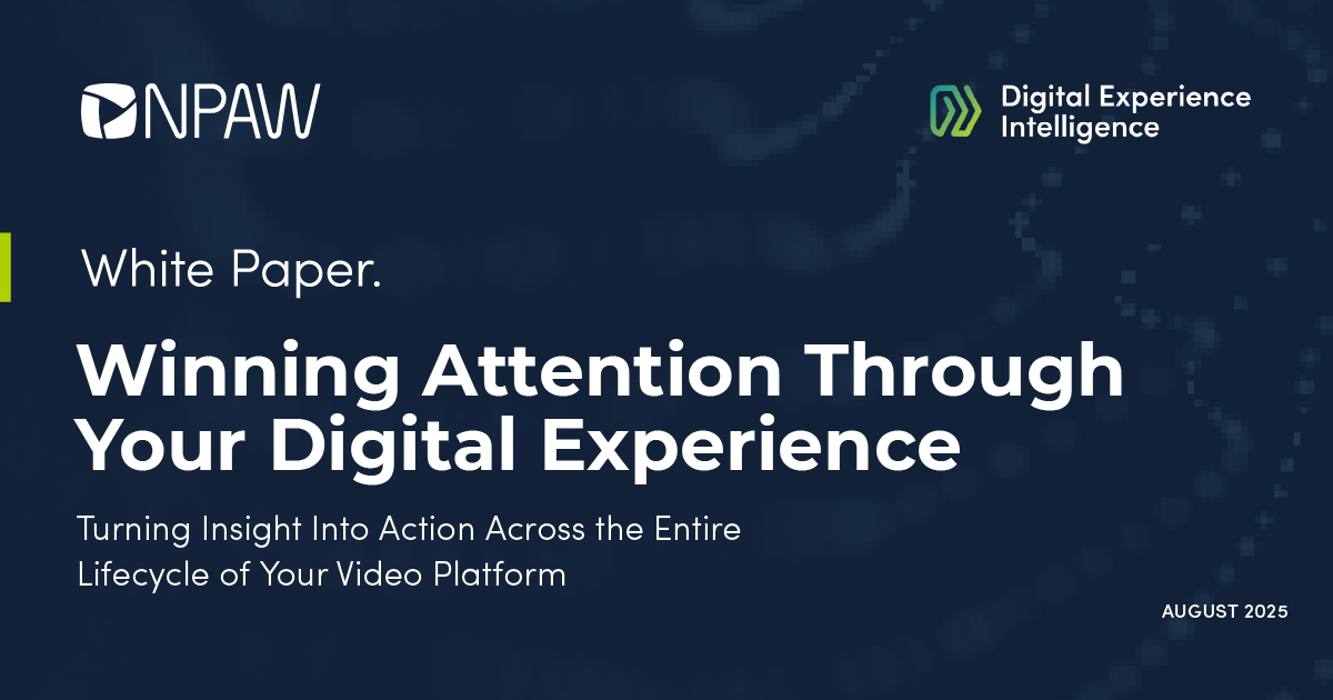 Streaming Industry report