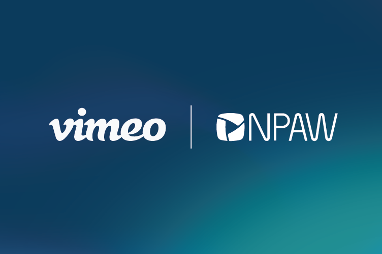 Video Streaming Industry report 2024