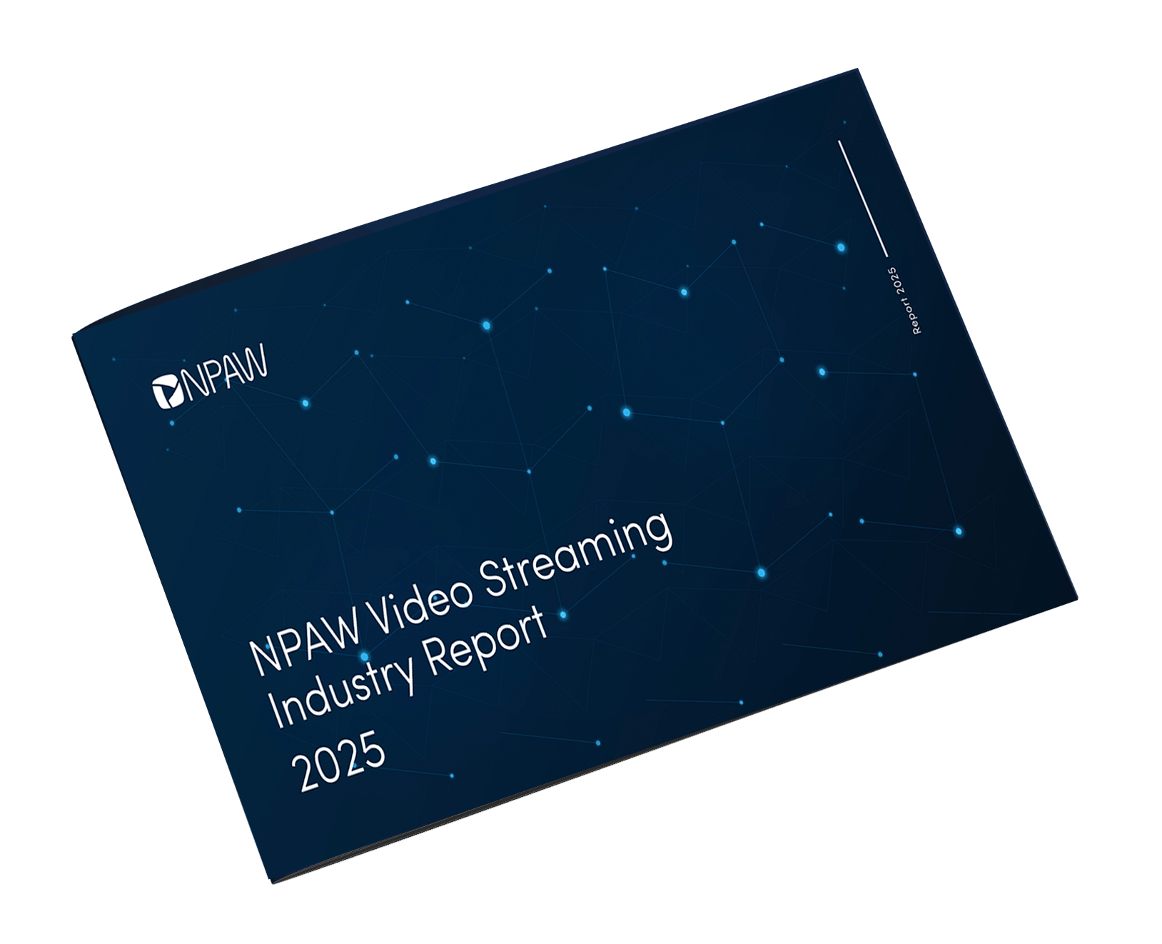 Streaming Industry report