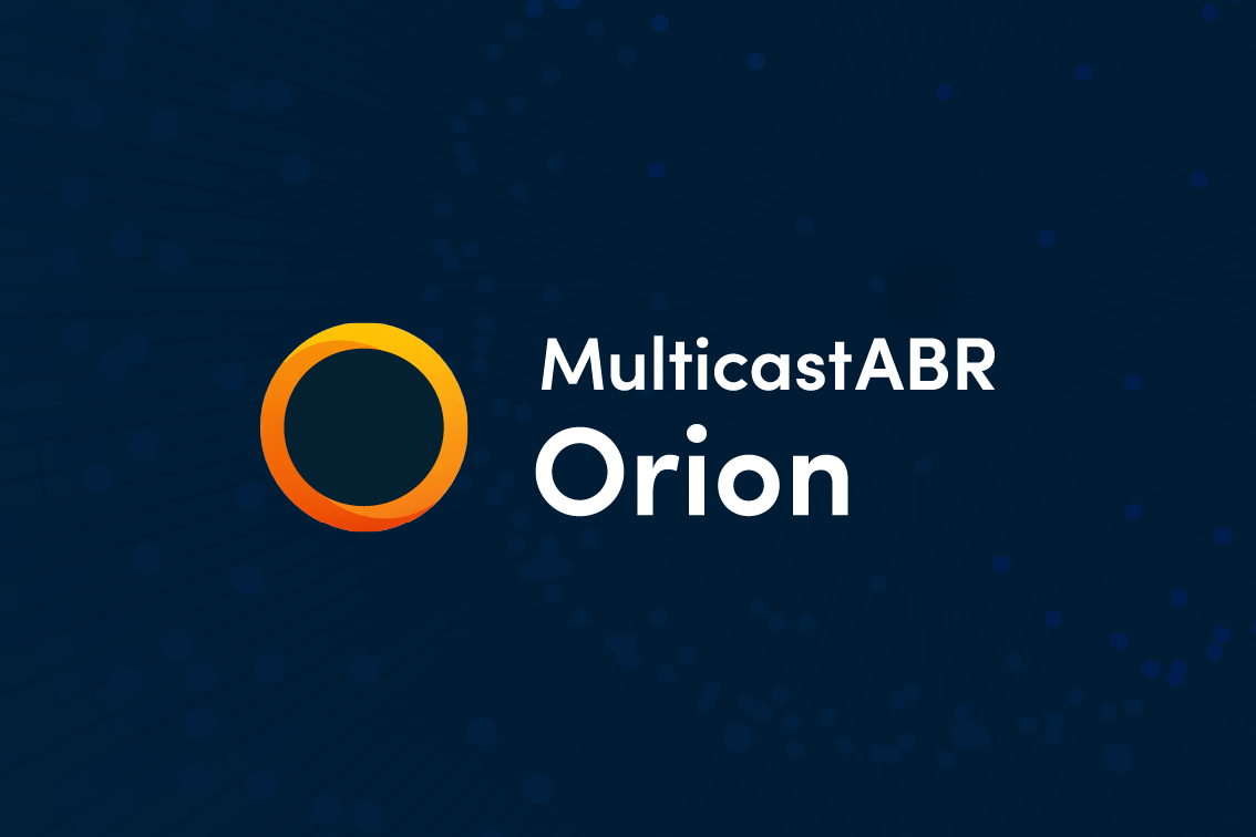 Video Streaming Industry report 2024